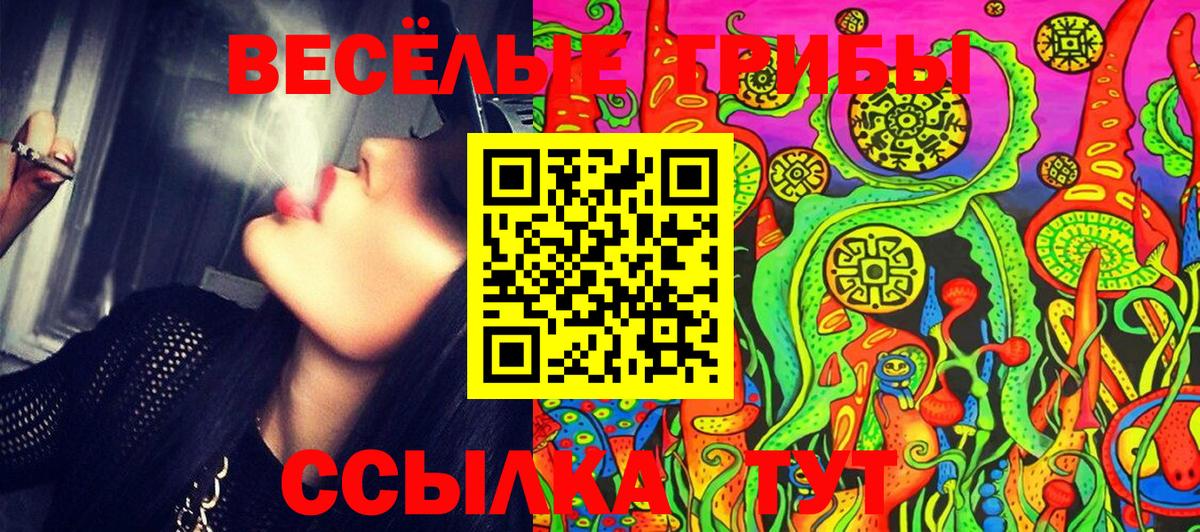 Галлюциногенные грибы Cubensis Холмск