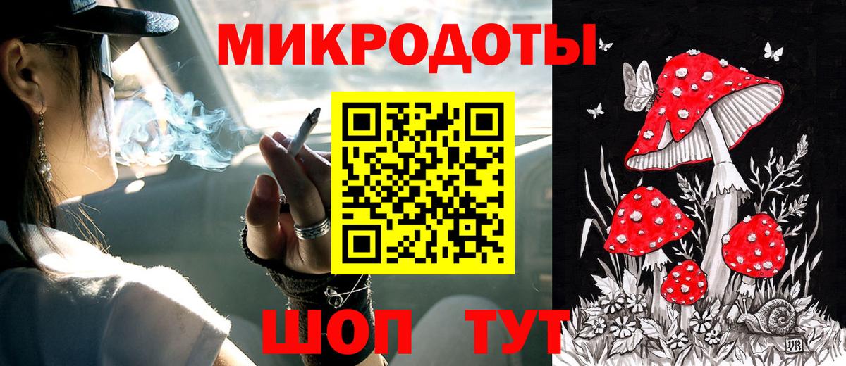 Холмск  Псилоцибиновые грибы Psilocybine cubensis  Вход с VPN 